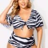 Black & White Stripes V-neck Lady Bikini Set